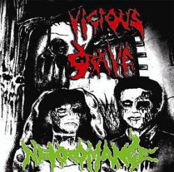 Vicious Grave : Nekromance